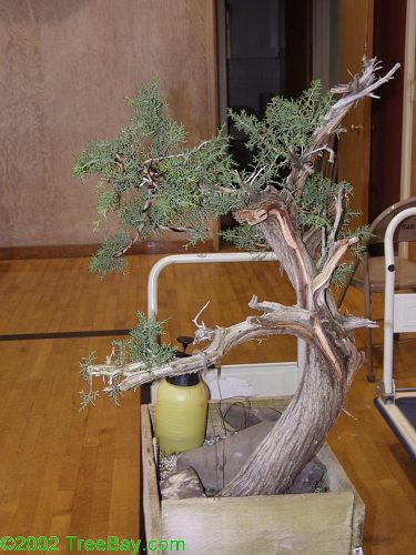 2002Betsuin 098.jpg